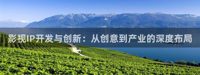 藍(lán)莓視頻18：影視IP開發(fā)與創(chuàng)新：從創(chuàng)意到產(chǎn)業(yè)的深度布局