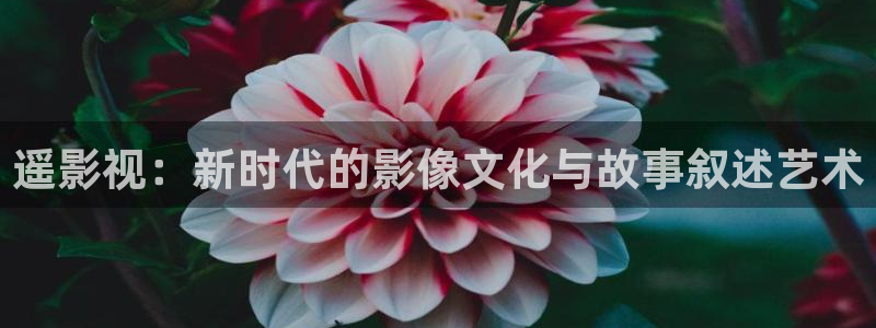 藍莓視頻素材：遙影視：新時代的影像文化與故事敘述藝術